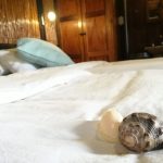 Sodwana Bay Lodge Accommodation House54
